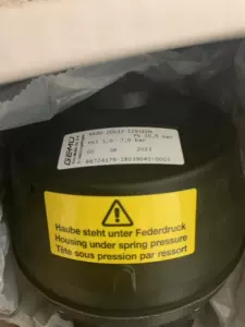 Оригинальный предпочтительный + Gemu LSR 106ZXXA000003101 Globe Valve