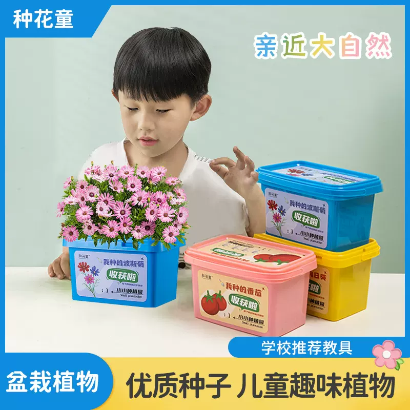 工厂批发科教用品种植套装幼儿园小学种植观察套装儿童盆栽水培芽