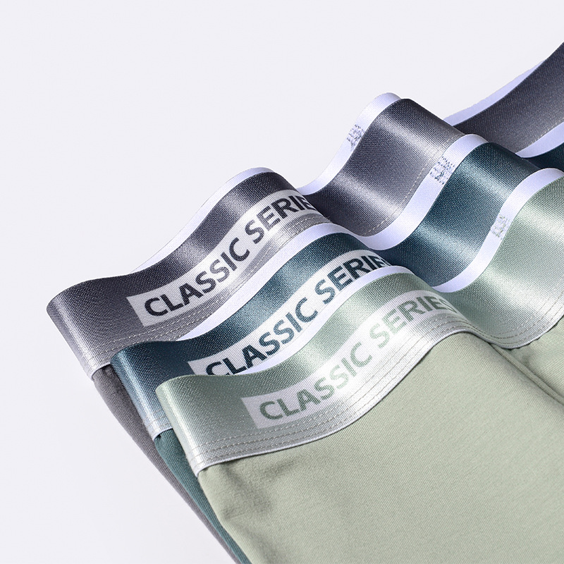 New Gradient Cotton Men's Underwear Comfortable Mid-waist Boxer Briefs Letter Waist Large Size Underwear Men's Cotton Wholesale