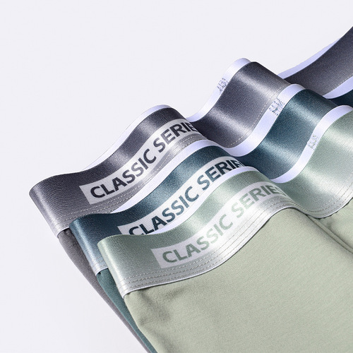 New Gradient Cotton Men's Underwear Comfortable Mid-waist Boxer Briefs Letter Waist Large Size Underwear Men's Cotton Wholesale