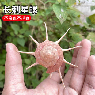 �L��������Ȼ����ؐ���˱� �������~���쾰��̨ �bҾ��Ĕz�[��