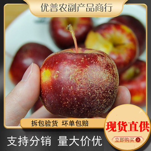 ���Ֆ|�����S��5���b���]�����2���خaС�O�����Ĺ�ɳ�����rˮ��