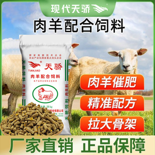 ���Sֱ�N����������ʿ����L�����ȫ�A���m��50���b�������ĸ��