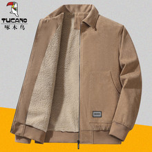 ��ľ���о���������ﶬ�����޼Ӻ�������������������мп���װ