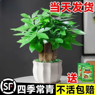 2025����lؔ��С�Gֲ���Ի����k���҃�����ˮ����ؔ���B�͏d�辰