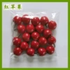 All red apple