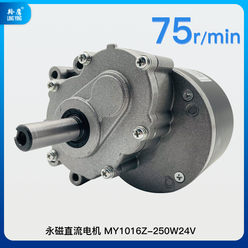 Impingle MY1016Z imán permanente DC cepillado baja velocidad de dos etapas reducción de vehículo eléctrico motor 24V250W Motor de silla de ruedas