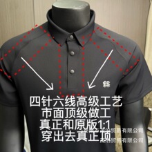 ����ȫС��POLO����-�����������ʿ2026�¿��̄��\�����e���l