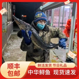 鱼类;虾类;贝类