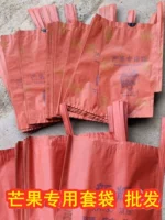 Специальная упаковка для манго: Golden Eagle Beak Kate Taiwan Mango, фрукты, защищенные от насекомых и птиц, двухслойное императорское манго из нефрита, тайваньское манго с бутонами.