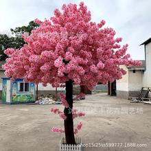 ���l���N�����Ҙ�ѻ���lؔ��t���䵾���˵��݄���ɻ�����ɻ�
