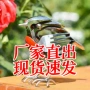 跨境艺术热销便携式雕塑