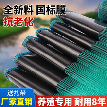 ���r���ӾW�з�������q�S�X�Bֳ���ӾW��С���r���W���ӾW��