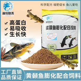 动物性饲料;观赏鱼饲料