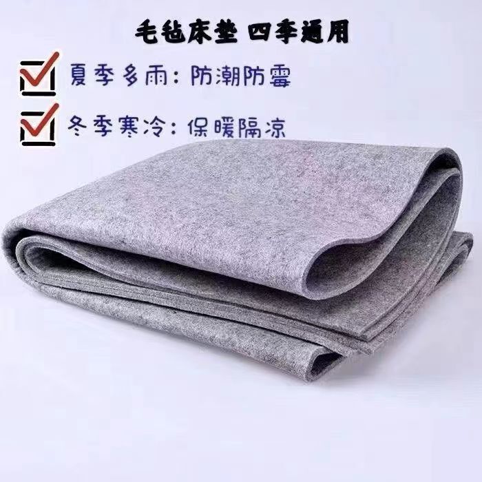 Moisture-proof mat for mattress Moisture-proof, mildew-proof and mite-proof for bed in student dormitory Moisture-proof mat for mattress Moisture-proof, mildew-proof and mite-proof for bed in student dormitory