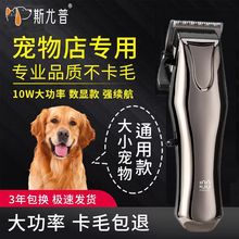 ���I������ë��������Ƽ���ë����Ȯ��������ӌ������؈��