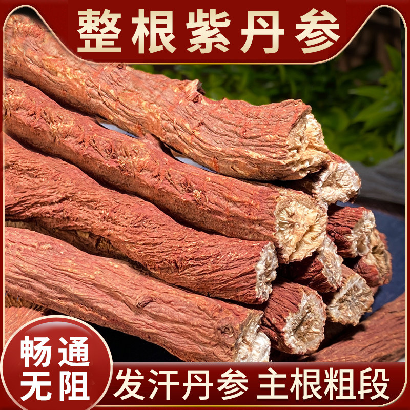 丹参的功效和作用十年整根紫丹参条山东莱芜白花丹叁中药材