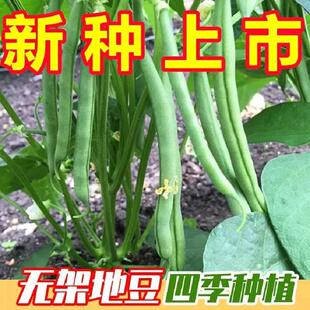 ���l�߲˷N���ļ����o��N���̨Խ���Nֲ�����ļ�������ͥԺ