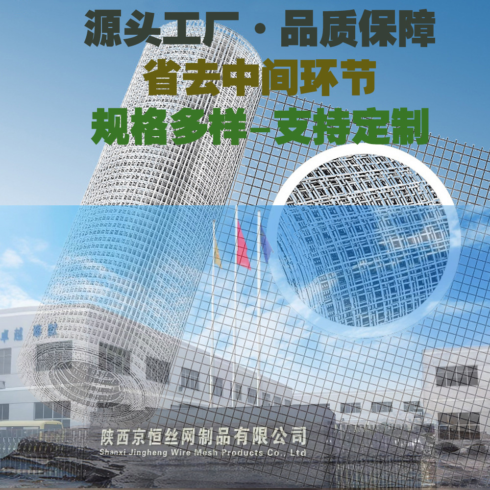内外墙加厚镀锌电焊网西安铁丝网防裂建筑假山养殖厂家现货批发