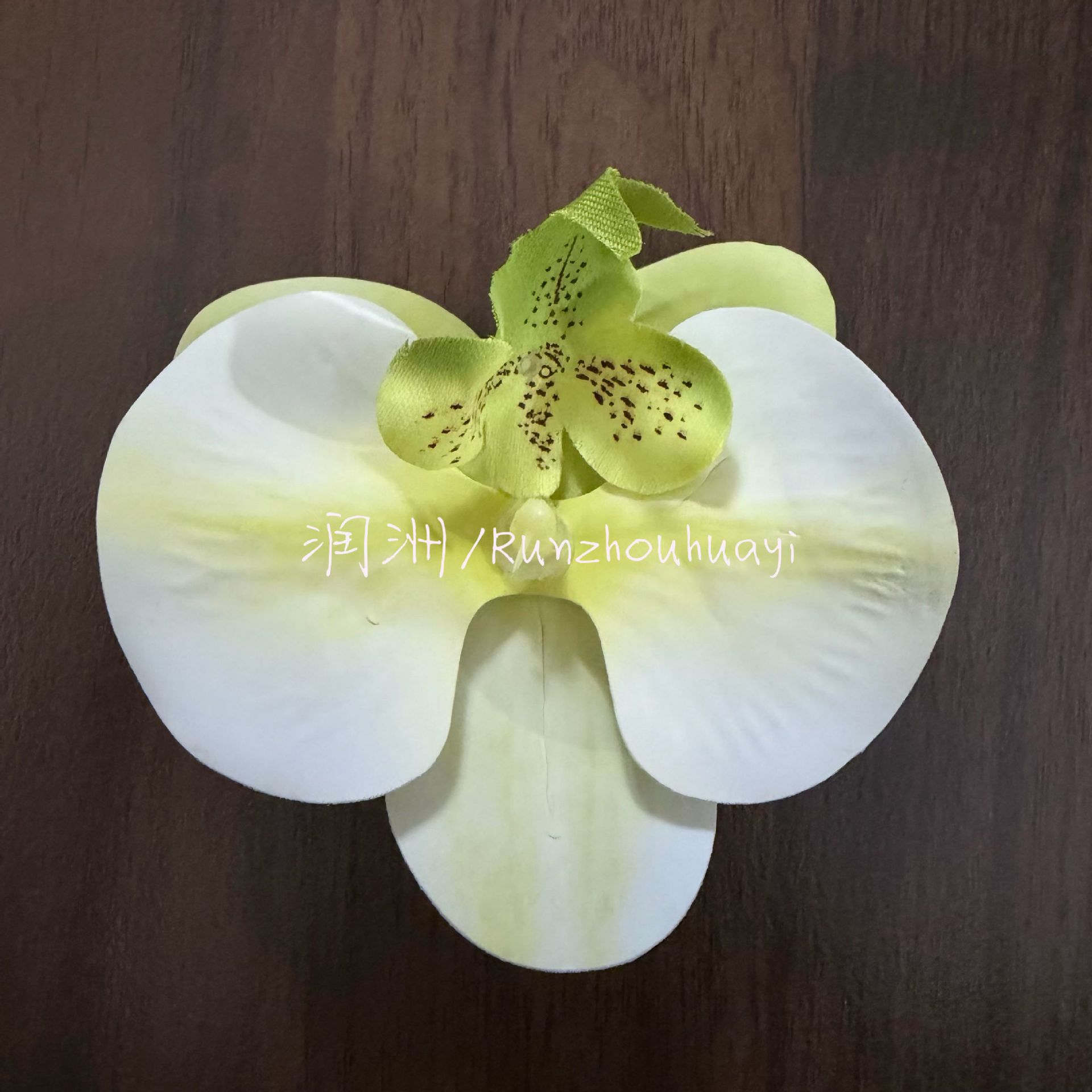 밝은 녹색