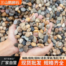 豆石滤料地暖高温回填石头工程铺地回填盆栽铺面鱼缸造景小石子