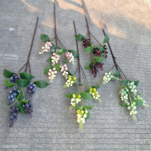 {FĹ{ݮõƹѩɿݹҾb֦