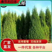 һlɰؘȰرؘļ؈Aؘ