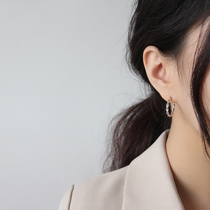 simple twist earrings fashion personality earrings ear bucklepicture13