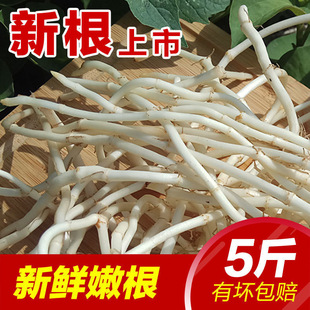 �~���۶������r�۸��F�ڹ������r���ԷN�߲˛���ȶ����Sһ�����l