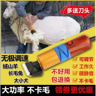 ����200������Ƽ�����؈늄���ë������Ӵ���Ȯ��ë����̫��