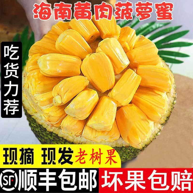 海南菠萝蜜新鲜水果一整个木波萝黄肉干苞当应季大树菠萝顺丰包邮