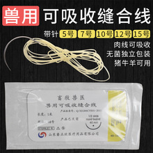 兽用可吸收缝合线外科手术免拆羊肠线埋线猪牛羊宠物可吸收性肉线