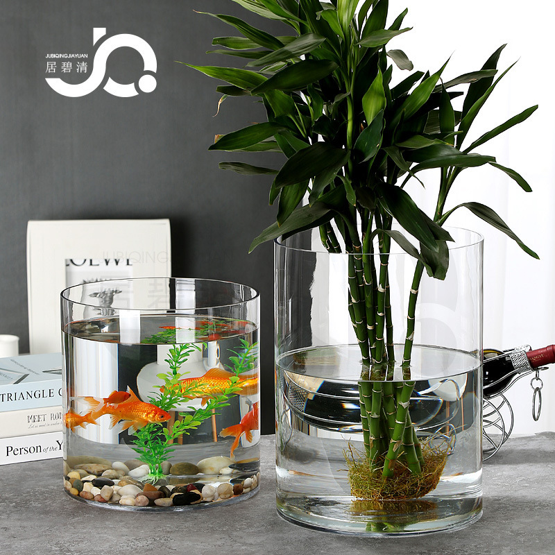 Amazon Extra-Large Straight Transparent Glass Vase Creative Design Hydroponic Lucky Bamboo Fish Tank Green Plant Vase