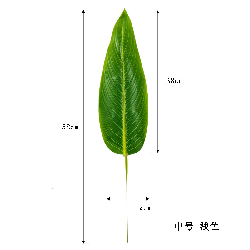 중간 밝은 색상