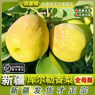 �젖�����殔�����rˮ��ȫĸ���ӶY�й�