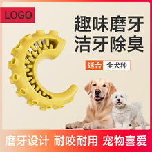 亚马逊新款橡胶带刺骨头宠物狗玩具 磨牙耐啃咬宠物用品厂家批发