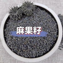 Ұɽ������ Ұ���������� ��������������������ëë������؛