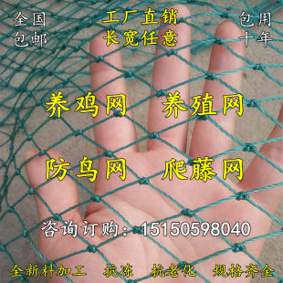 ɽ�u�W���پW�Bֳ�W�B�u�W���u�W�o�ھW�����W���@���B��W���ھW