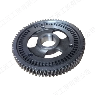 Engine 3192073, Flywheel/Gear