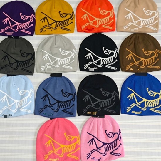 2025 Fall/Winter New In-Stock Bird House Hat Versatile Beanie Knit Hat Embroidered Warm Wide-Brim Wool Hat 2025 Fall/Winter New In-Stock Bird House Hat Versatile Beanie Knit Hat Embroidered Warm Wide-Brim Wool Hat