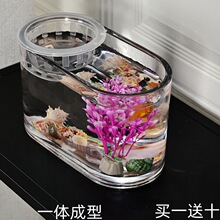 创意免换水椭圆鱼缸客厅办公桌长条透明小金鱼缸