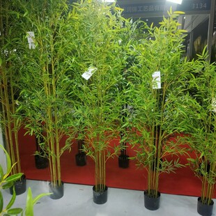 ���������҃��bGֲ�������L�����ӓ����쾰�����Լ��ܷ���ë��