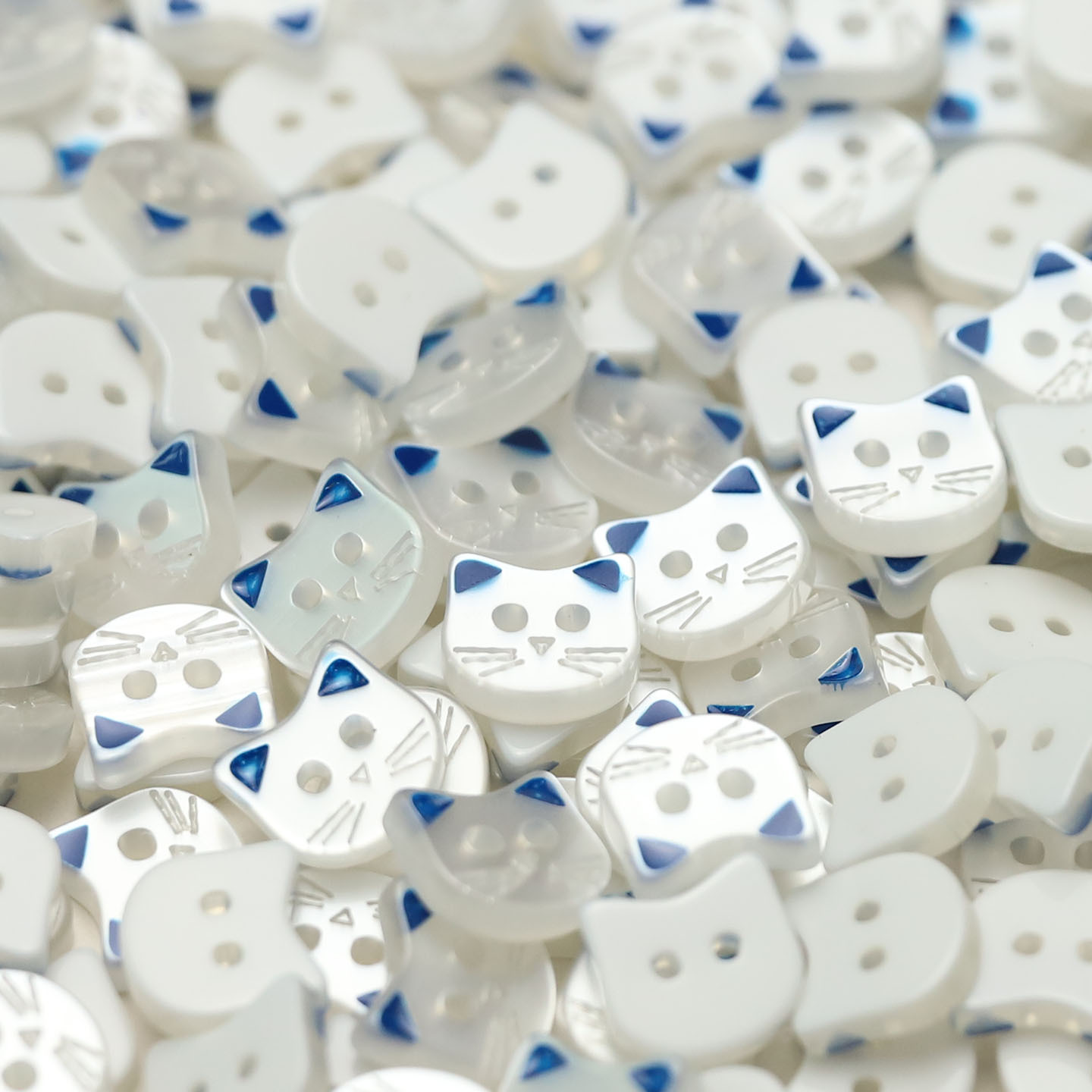 2#[고양이 모조 쉘 블루]