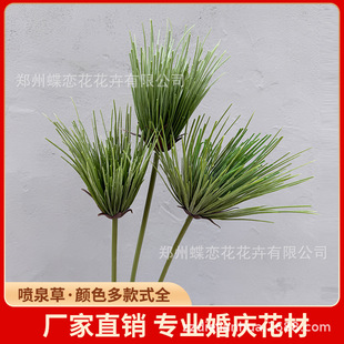 Ұ���з���ֲ���ɯ ��Ȫ�� ��ɯ�ݾƵ��҃Ⱦ��^�����b�Y����