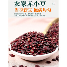 ��؛��С��500g���|�ඹ�����L�����r����Ȼ��޲���׼tС���͌���