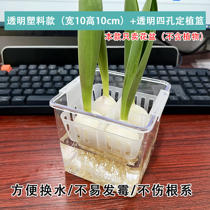 植栽バスケット付き水耕チューリップ植木鉢、水耕球根、水交換が簡単なガラス製品、透明なチューリップ花瓶|undefined