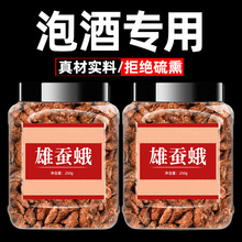 雄蚕蛾500g散装干蚕蛾公材泡酒料非蚕蛾粉野生雄蚕蛾