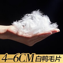 ˮϴ4-6cm����ëƬ�坍�o��ζ ɳ�l ��о ���| �����q��ë���l