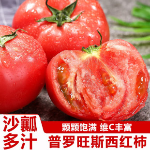 �������������_��˹���t��5�ﮔ����Ȼ��ɳȿ�ЋDˮ�����r�Fժ