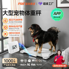 �¿���͌����w�س����Q300kg䓻�����С�ذ�����Q�،�����ӳ�